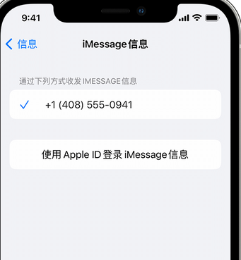 原州apple维修iPhone上无法正常发送iMessage信息 