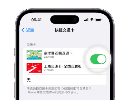 原州apple维修点分享iPhone上更换Apple Pay快捷交通卡手绘卡面 