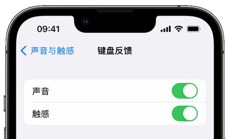 原州苹果手机维修分享iPhone 14触感键盘使用方法 