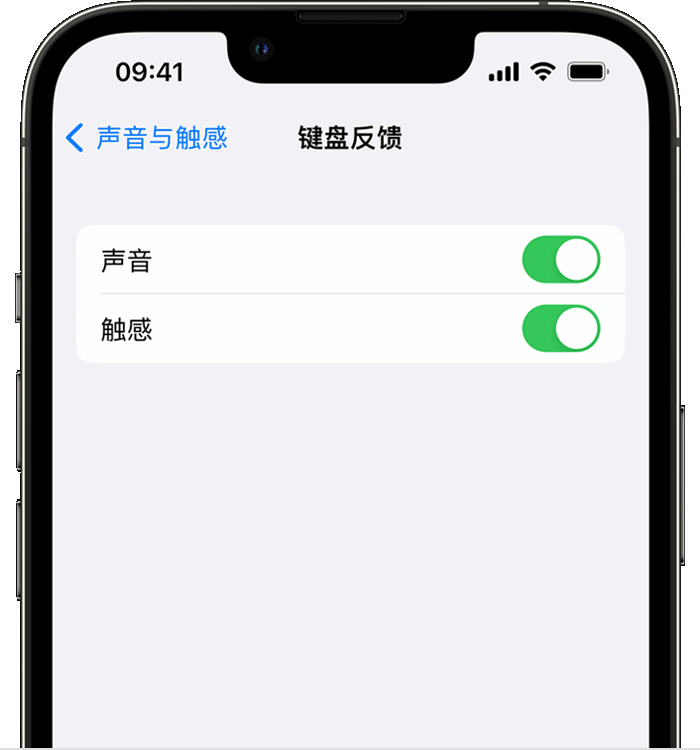 原州苹果14维修店分享如何在 iPhone 14 机型中使用触感键盘 