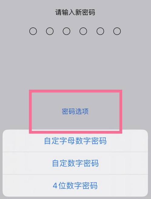 原州苹果14维修分享iPhone 14plus设置密码的方法 