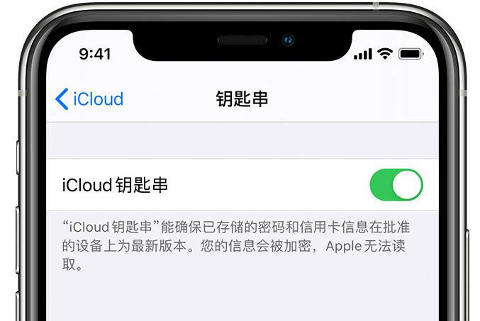 原州苹果手机维修分享在 iPhone 上开启 iCloud 钥匙串之后会储存哪些信息 