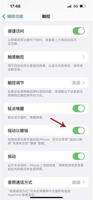 原州苹果手机维修分享iPhone手机如何设置摇一摇删除文字 